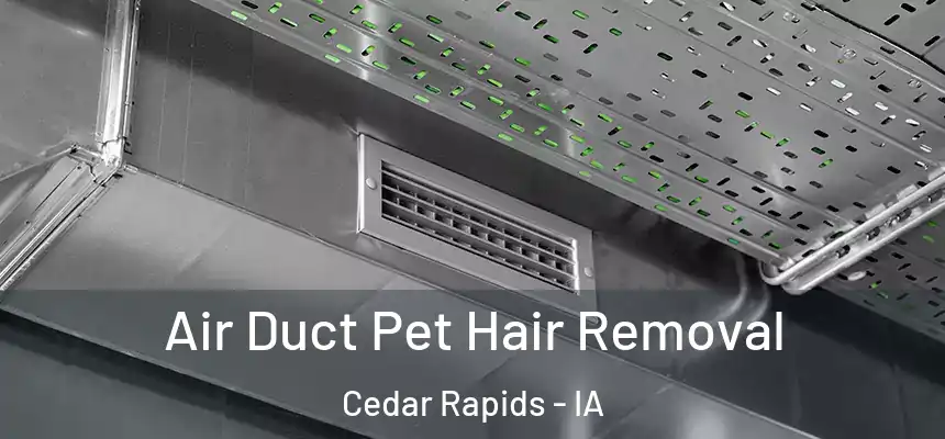  Air Duct Pet Hair Removal Cedar Rapids - IA