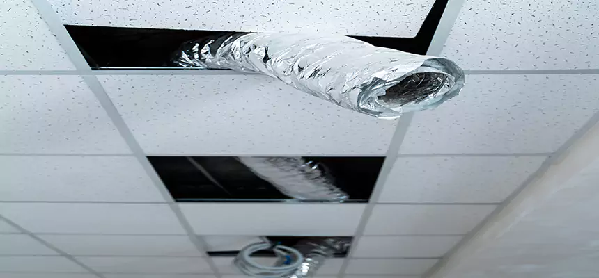 Our Air Duct Pet Hair Removal Services in Cedar Rapids, IA