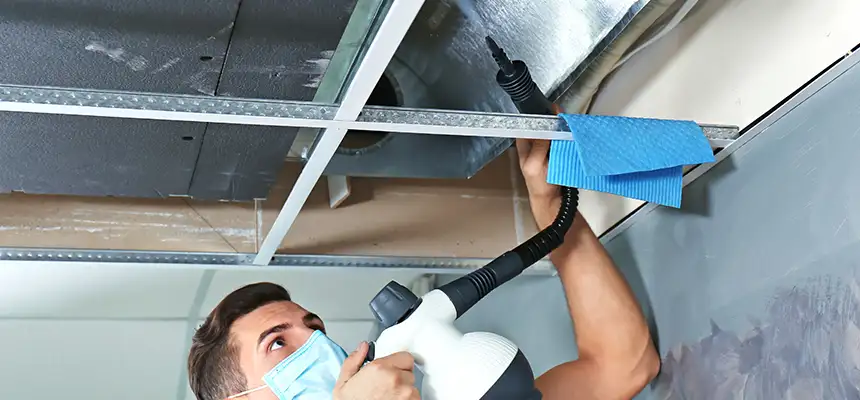Our Air Duct Rodent Removal Services in Cedar Rapids, IA