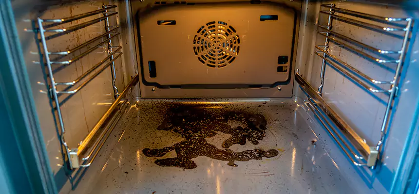 Our Dryer Vent Mold Cleaning Services in Cedar Rapids, IA