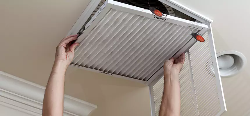 Our Insect Removal from Air Ducts Services in Cedar Rapids, IA