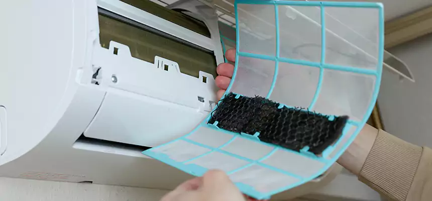 Gentle Ductwork Odor-Control Pet Dander Duct Cleaning in Cedar Rapids, IA