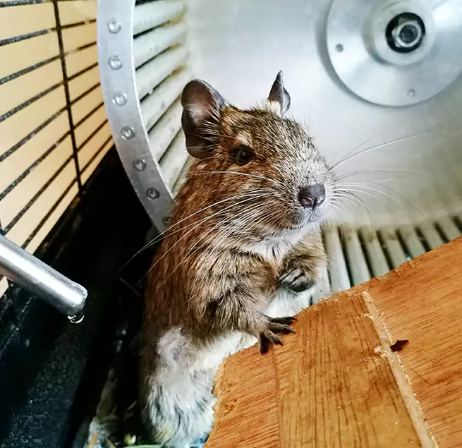 Why Homeowners & Businesses Trust Us Cedar Rapids, IA