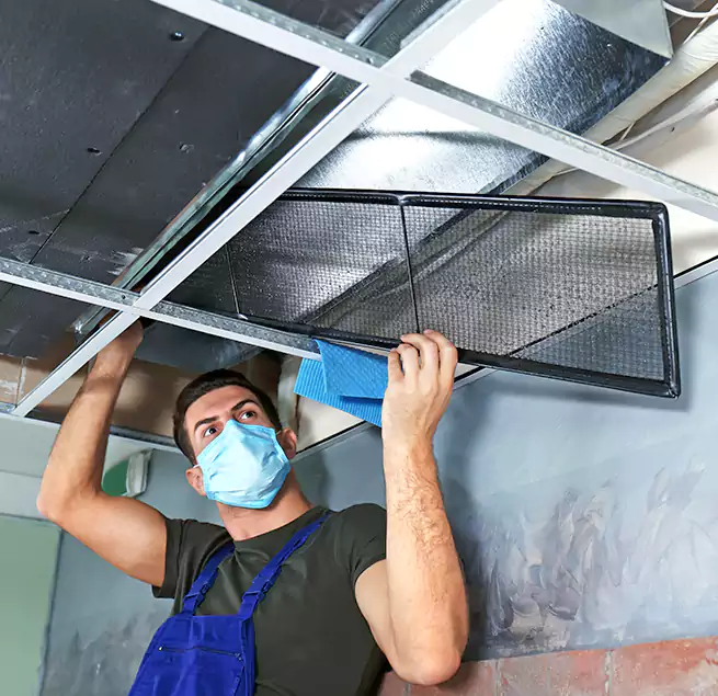 Why Homeowners Businesses Trust Us in Cedar Rapids, IA