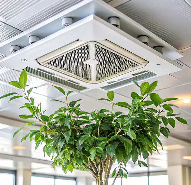 Why Homeowners & Businesses Trust Us in Cedar Rapids, IA